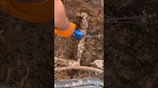 Pressure Reducing Valve Replacement