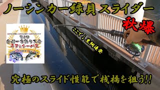 [ヘチ釣り] 秋爆の黒鯛釣り！！餌は緑貝！　#黒鯛工房