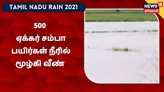 Thanjavur | சுமார் 500 ஏக்கருக்கும் மேற்பட்ட சம்பா பயிர்கள் மழை நீரில் மூழ்கி வீண்