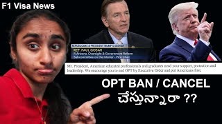 OPT has surpassed H1B visa | End OPT | OPT getting Banned /Cancelled? | Telugu | Explained