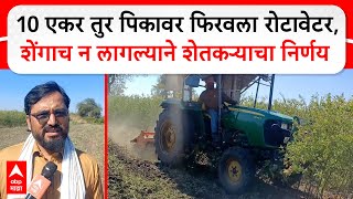 Hingoli toor Farmer : 10 एकर पिकावर फिरवला रोटावेटर,तुरीला शेंगाच न लागल्याने शेतकऱ्याचा निर्णय