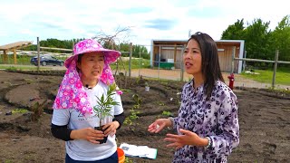 3HMONGTV LIVE | Organic Living with Mhonpaj Lee - Hmong herb garden at the Minnesota Arboretum.