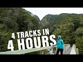 😲 4 Tracks in 4 Hours!! Hiking the Arthur's Pass Walking Track & Devil's Punchbowl Waterfall