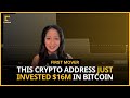 Profit-Making Crypto Address Makes New Investment of $16M in BTC | Chart of the Day