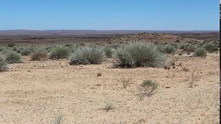 namibia africa a landscape with sparse vegetation