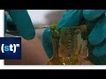 Could a Giant Manget Power the World? | SciTech Now