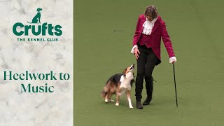 Heelwork To Music Part 1 | Crufts 2024