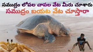 సృష్టిలో అతి సుందరమైనది సముద్రం #youtube # comedy # food #amma # fishing