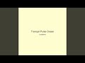 Tranquil Pulse Ocean
