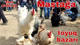 Maştağa Toyuq bazarı. 15.05.22 #mubarizemintv #mastagamalbazari #mastagaqoyunbazari