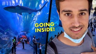 Jumping inside a Shark Tank! (For Real)