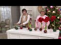 Cottage Farms Wax-Dipped Amaryllis Bulb on QVC