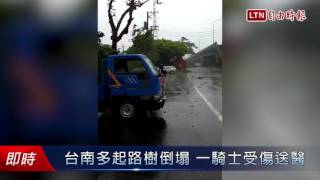 台南多起路樹倒塌 一騎士受傷送醫