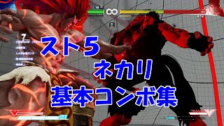 【スト５】ネカリ(Necalli)_基本コンボ(BasicCombos)【ＳＦⅤ】