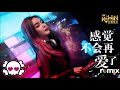 程欣 感觉不会再爱了【dj remix 舞曲】ft. k9win 🎶