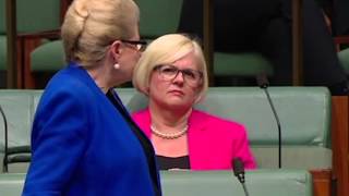 Bronwyn Bishop blames Tony Abbott for her downfall in farewell speech