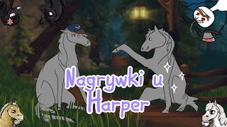 [SSO] Nagrywki u Harper