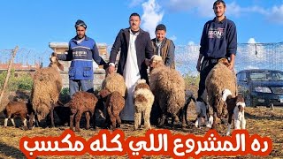 ده المشروع اللي هيخلي كل راجل وكل ست  تشتغل فيه باقل راس مال وفي اي مكان