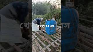 শীতকালে এক চাচা খেজুরের রস ঢালতেছে