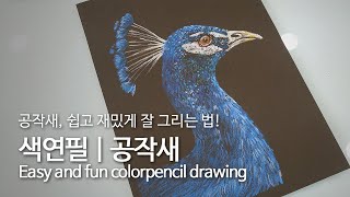 [Art Ssam] 색연필 | 공작새 그리기 | Drawing a peacock | 孔雀描き