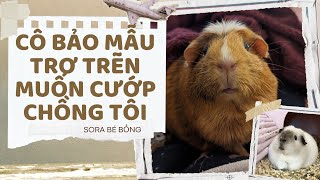 [Truyện Audio ] [FULL] CÔ BẢO MẪU TRƠ TRẼN MUỐN CƯỚP CHỒNG TÔI || Sora Bé Bỏng