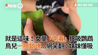 女孩狂吸和尚鸚鵡 人療癒 鳥銷魂！超懂吸鳥｜寵物鳥