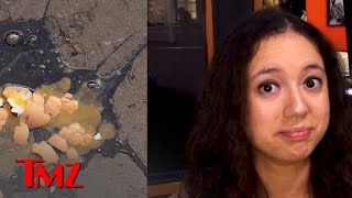 King Charles Gets Eggs Thrown at Him by Protester | TMZ Royal Tea