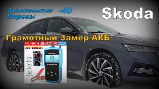 Skoda: Грамотный Замер АКБ. Морозы -40 (2023)