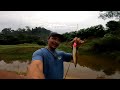 casting haruan . haruan parit. menduga ikan haruan parit baru jumpa.