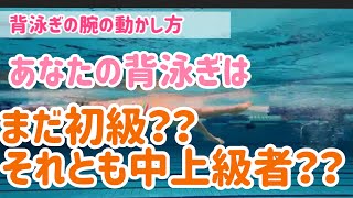 【動画解説】背泳ぎは初級者と中上級者で泳ぎ方が全然違う⁉︎