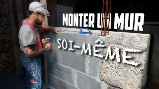 TRANSFORMATION D'UN GARAGE EN JARDIN -Réussir son mur -PART 3