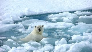 Study Fox News Climate Change Coverage 72 Misleading