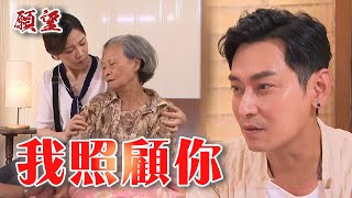 願望預告EP39｜進輝假認親真報復？?承諾牽著碧玉一輩子不放開