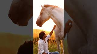 Huge stallion in beautiful sunset ❤️😍🌅