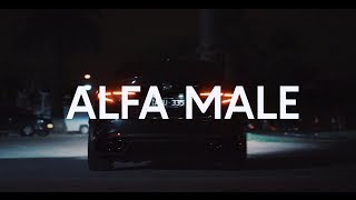 Alfa Male | Alfa Romeo | Short Film
