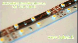 Ledtek.fi Kuivantilan LED-nauha 300LED 3000K