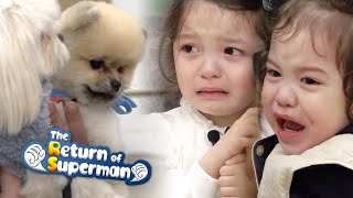 Gun Hoo, Why Are you Crying? [The Return of Superman Ep 280]