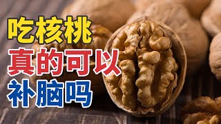 大脑抗衰秘籍：这些食物让你越吃越聪明！20250615 选对食物来健脑 | CCTV科教《健康之路》