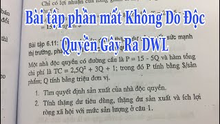 Giải Tính DWL phần mất không do Độc Quyền Gây Ra| Chị Hương