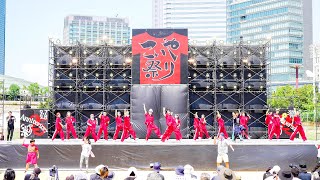 [4K] 丼舞Re:タイム　こいや祭り 2024 土曜日