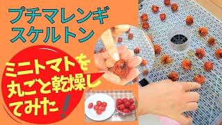 プチマレンギスケルトンでミニトマトを丸ごと乾燥してみました！