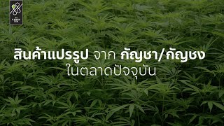 88 Cannatek - โอกาสในการทำธุรกิจ จากพืชเศรษฐกิจ “ กัญชง ”