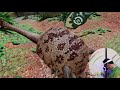 ark vr版 ark park＃３～マウンテンパス探索～yロウのアークパーク