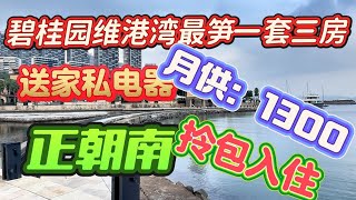 【十里銀灘五期維港灣】業主原購價成120萬而家直接劈成41.5萬！送部份傢俬電器，保養非常新，今年必買，你大膽開價#大灣區退休 #十里銀灘 #海景房#十里銀灘美麗#十里銀灘ken