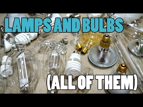 What are the types of bulbs?