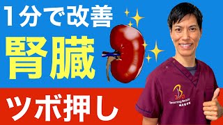 【医者が廃業する】ツボを押すだけで腎臓を回復させる方法を完全解説します