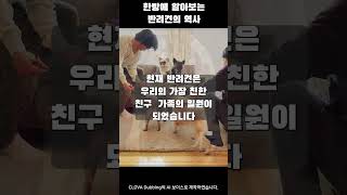 반려견이란 어떻게 탄생했을까? 반려견의 역사 한 번에 정리하기[강아지 탐구생활](feat. 클로바더빙)