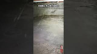 #温哥华买房 正在漏水的半地下室 crawlspace #温哥华房产 #温哥华验屋师