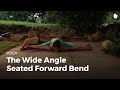 Learn the Wide-Angle Seated Forward Bend - Upavishta Konasana | Yoga