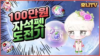 뽑을지 살지 고민되신다구요? 《100만원 자석펫 도전기》 직접 해봤습니다! │ 메이플스토리후니